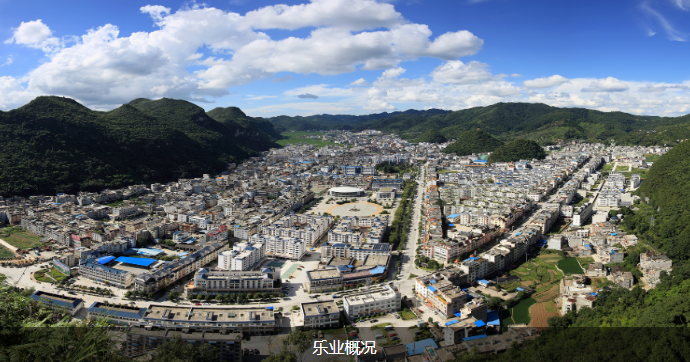 樂(lè)業(yè)縣人民政府.png