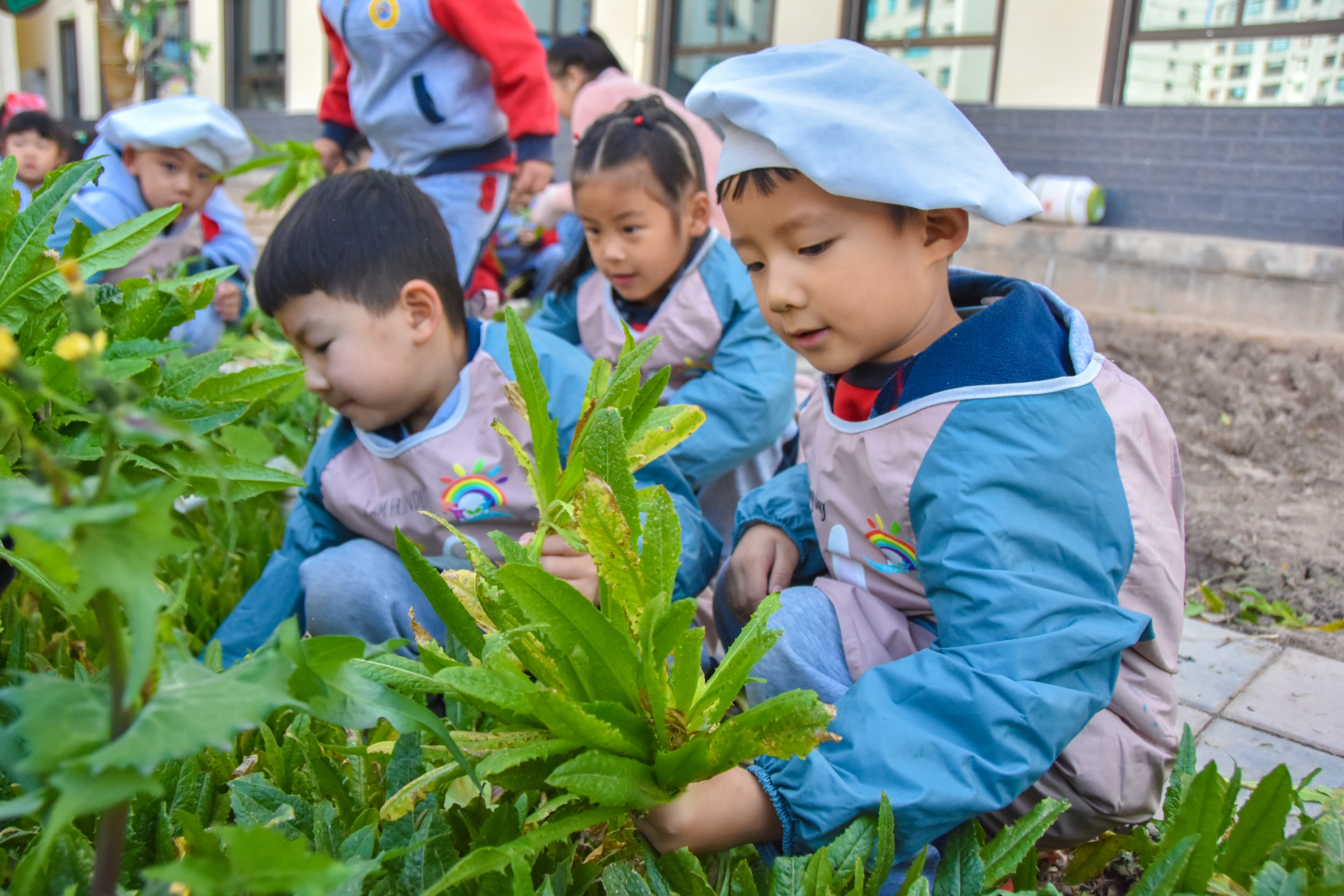 1.甘肅臨澤：濱河幼兒園“種植農(nóng)場(chǎng)” 體驗(yàn)農(nóng)耕樂趣3.JPG