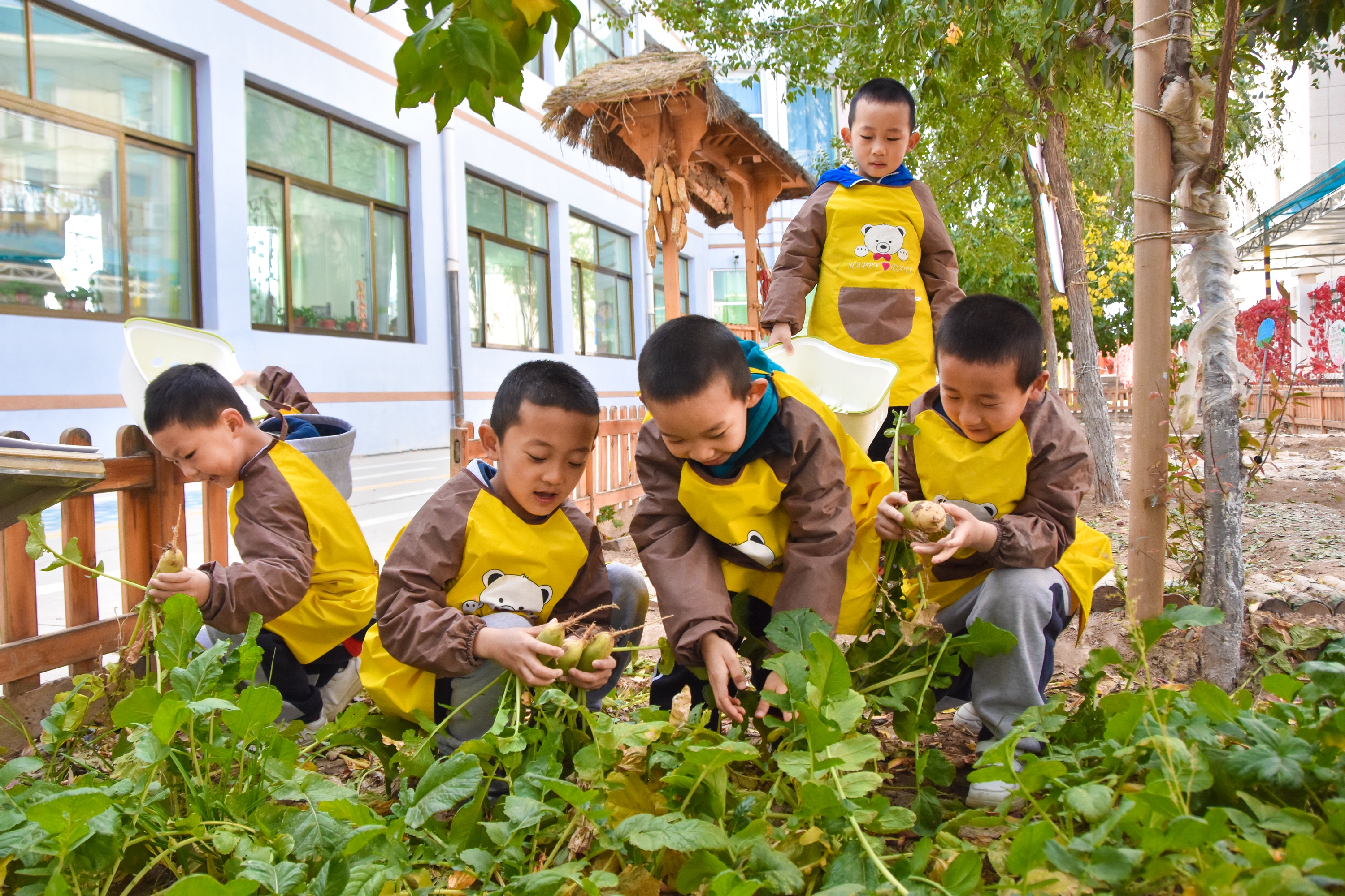1.甘肅臨澤：濱河幼兒園“種植農(nóng)場(chǎng)” 體驗(yàn)農(nóng)耕樂趣4.JPG