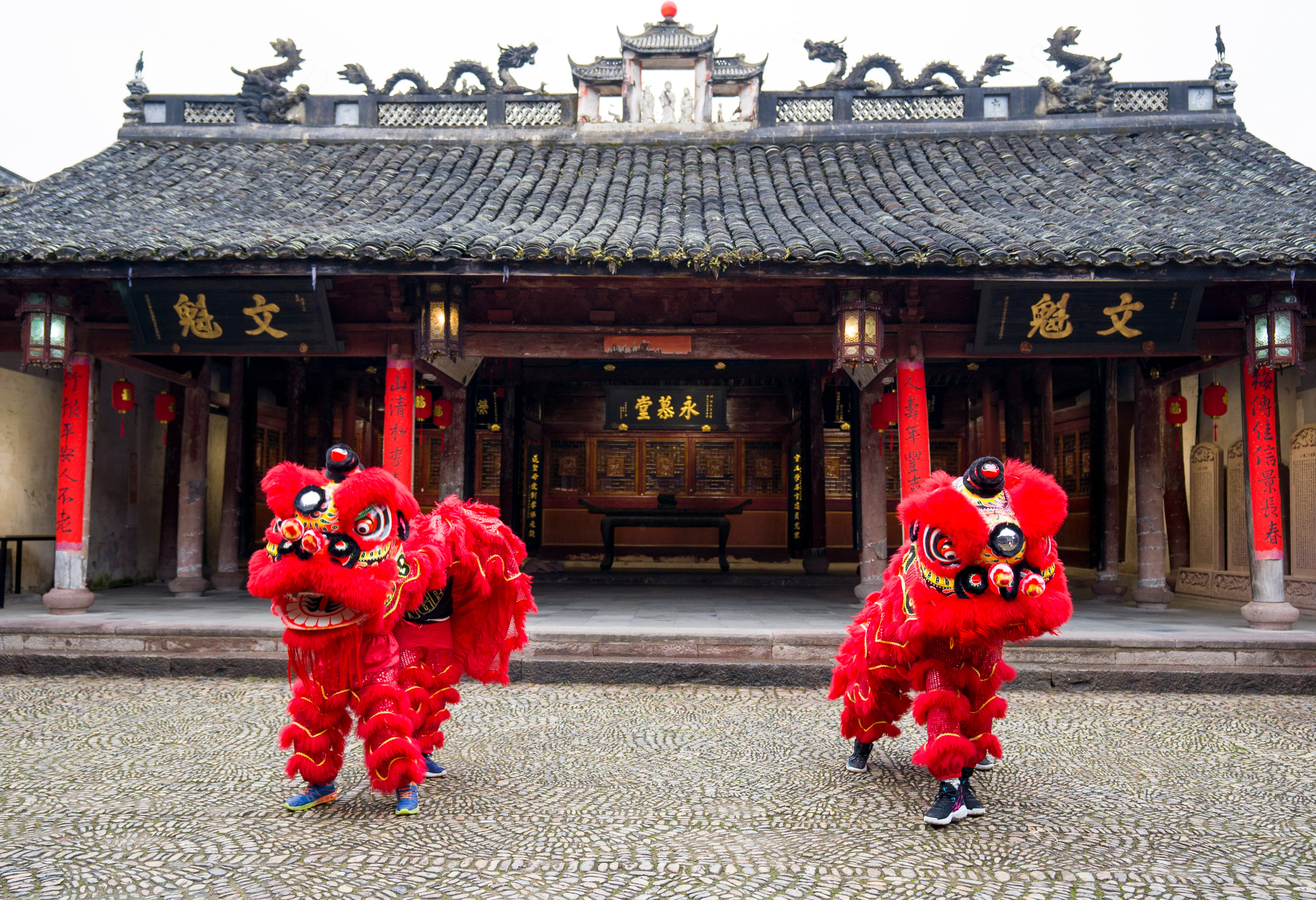 雄獅少年張鎮(zhèn)浩和舞獅隊(duì)的隊(duì)友們?cè)谇巴?zhèn)祠堂訓(xùn)練 寧?？h教育局供圖.jpg